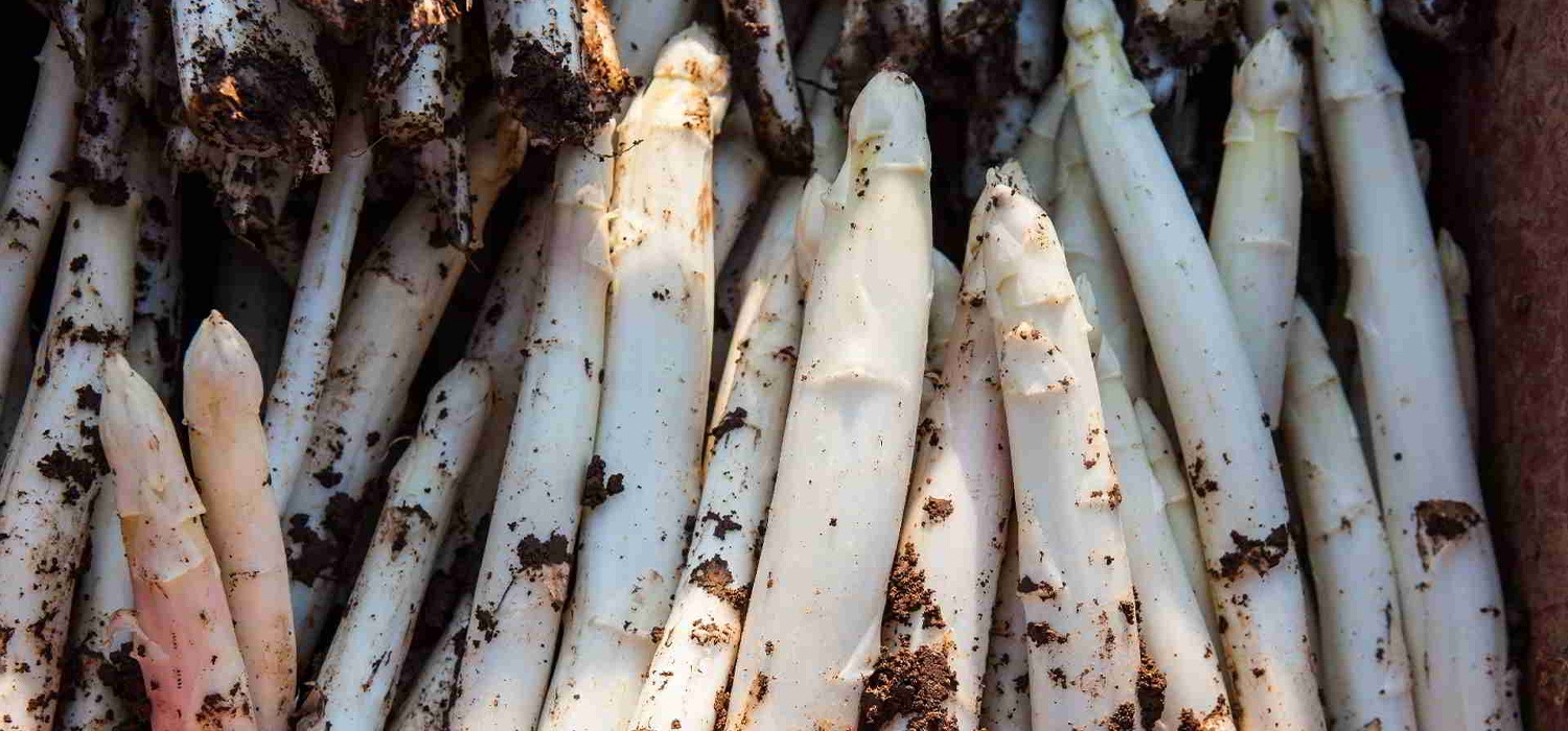 Asperges