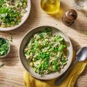 Groene risotto