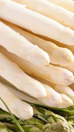 https://www.maggi.nl/sites/default/files/styles/search_result_153_272/public/article_images/Witte%20asperges-lintje.jpg?itok=it_zIIGO