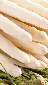 https://www.maggi.nl/sites/default/files/styles/search_result_153_272/public/article_images/Witte%20asperges-lintje.jpg?itok=utau6dFJ