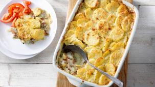 Ovenschotel witlof-crèmesaus met gehakt